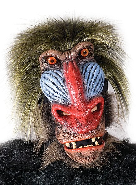 Baboon Mandrill Tiki Mask on Palm Frond offers Branch